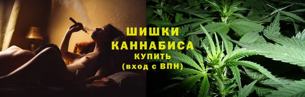 сатива Армянск
