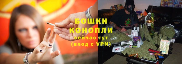 сатива Армянск