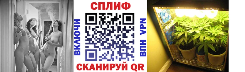 kraken Лениногорск Конопля конопля цена наркотик
